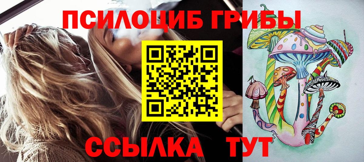 Карабулак  Псилоцибиновые грибы Psilocybe  Вход с VPN  Псилоцибиновые грибы прущие грибы 