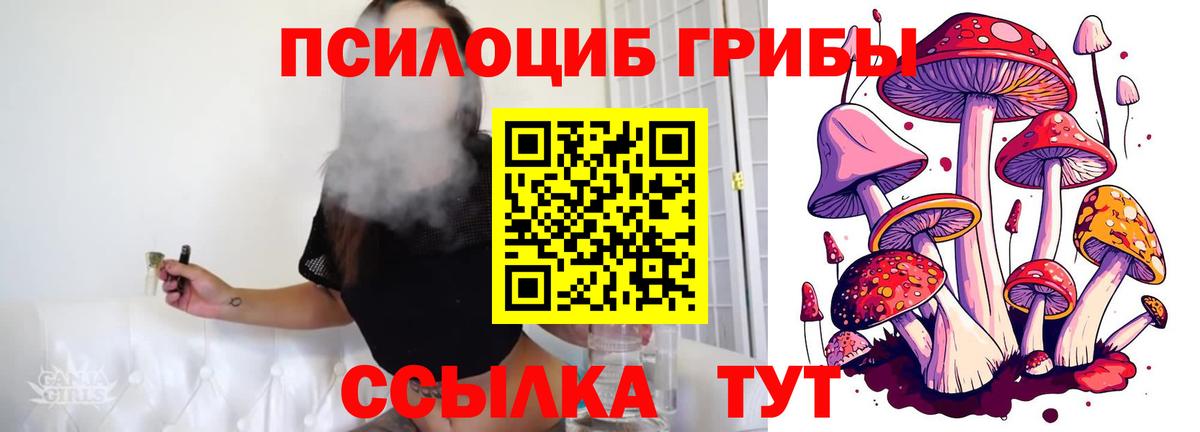 Галлюциногенные грибы Cubensis Карабулак