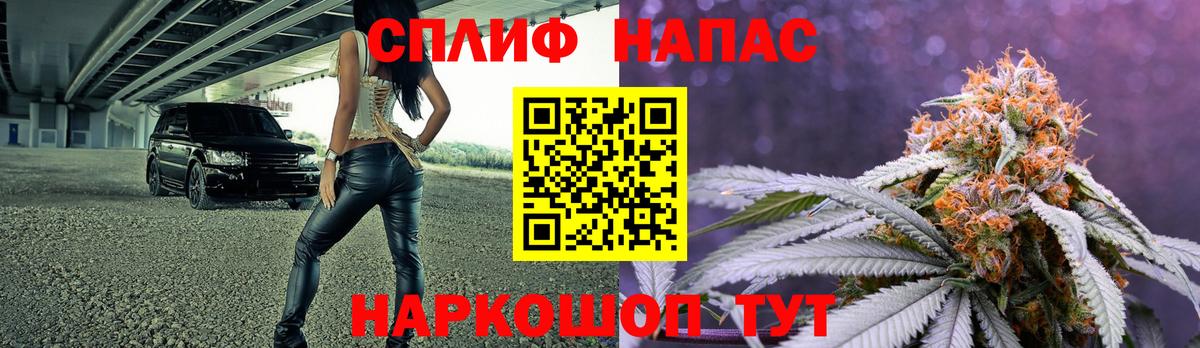Бошки Шишки план Карабулак